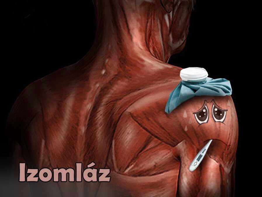 Izomlázra szükséged van az izomfejlődéshez?