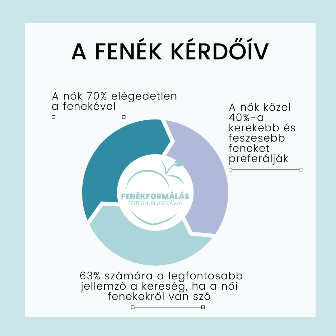 fenék felmérés