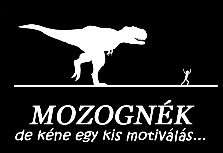 3 gyakori kifogás az edzésre- és a megoldás
