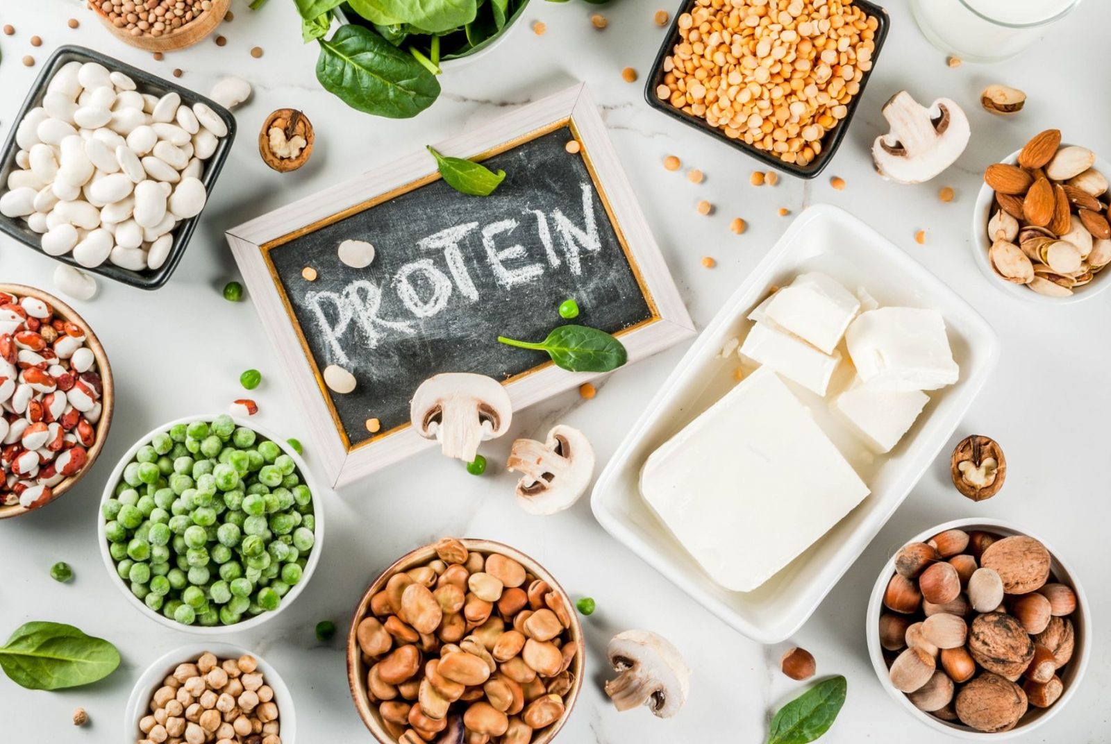A VEGÁNOK FEHÉRJEHIÁNYBAN SZENVEDNEK? - Fehérje – mennyi az annyi?⁣